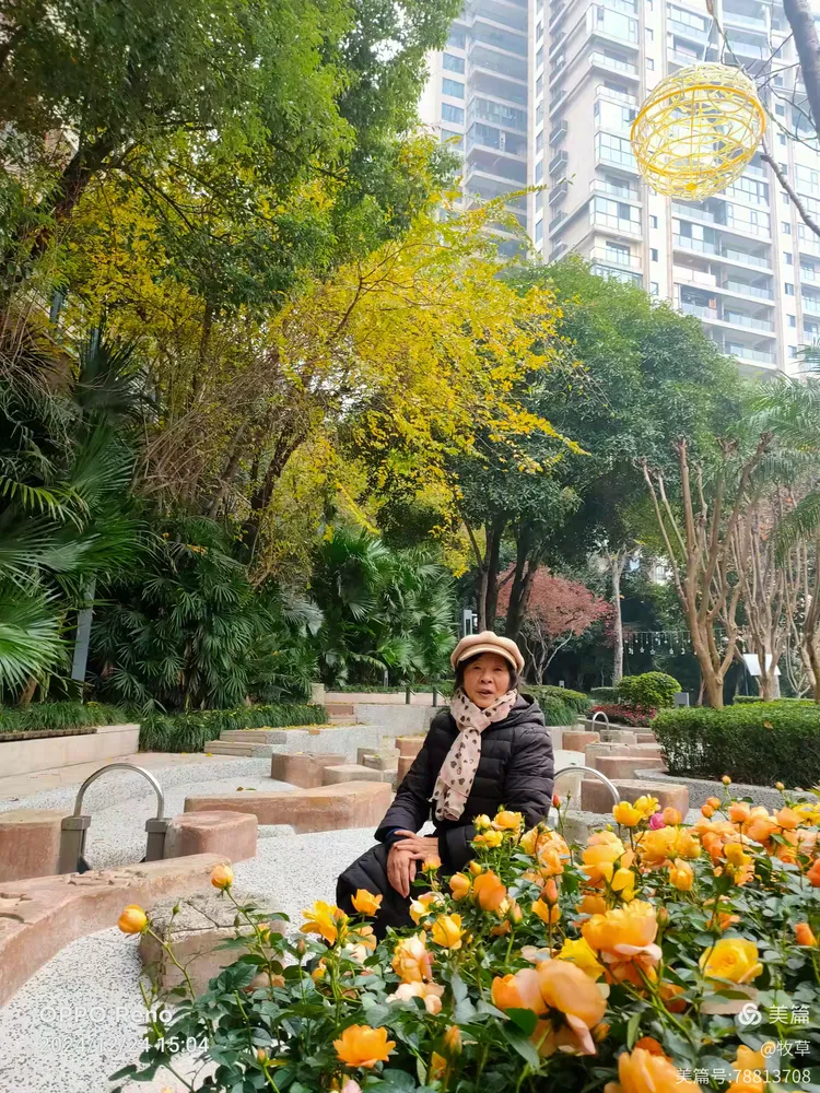 春森彼岸小区三期环境优美2024.12.24